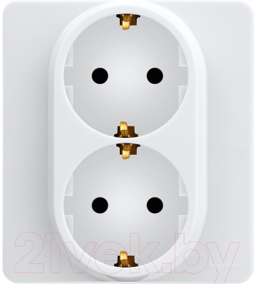Розетка Legrand Inspiria 673750 - фото