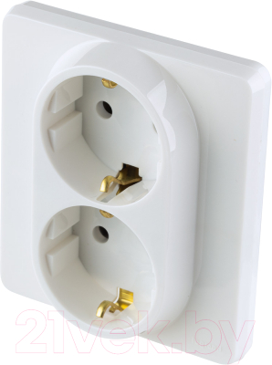 Розетка Legrand Inspiria 673750