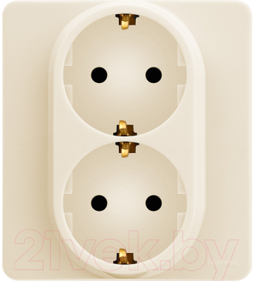 Розетка Legrand Inspiria 673751 - фото