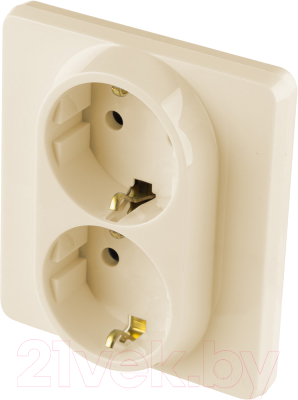 Розетка Legrand Inspiria 673751