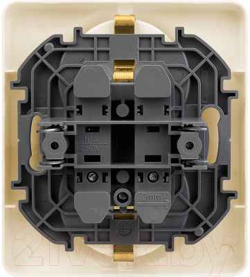 Розетка Legrand Inspiria 673751