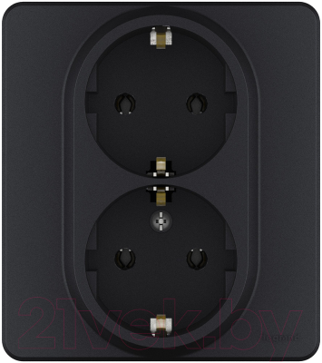 Розетка Legrand Inspiria 673753 - фото