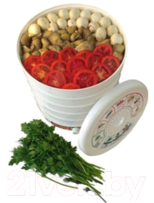 Сушилка для овощей и фруктов Evgo DVN31-500/5