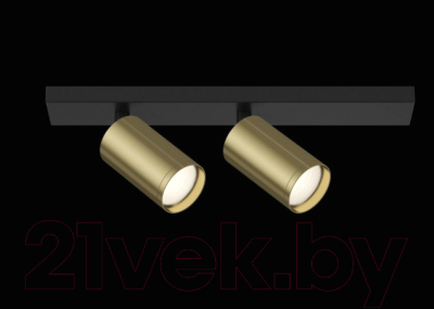 Спот Maytoni Focus S C051CL-02BBS