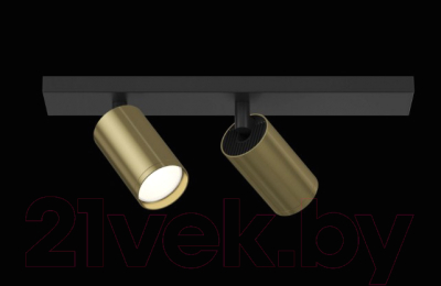 Спот Maytoni Focus S C051CL-02BBS