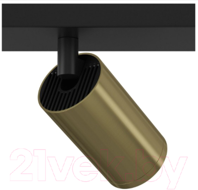 Спот Maytoni Focus S C051CL-02BBS