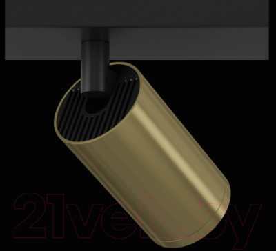 Спот Maytoni Focus S C051CL-02BBS