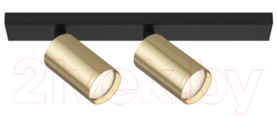 Спот Maytoni Focus S C051CL-02BG - фото