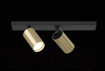 Спот Maytoni Focus S C051CL-02BG