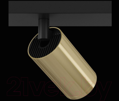 Спот Maytoni Focus S C051CL-02BG