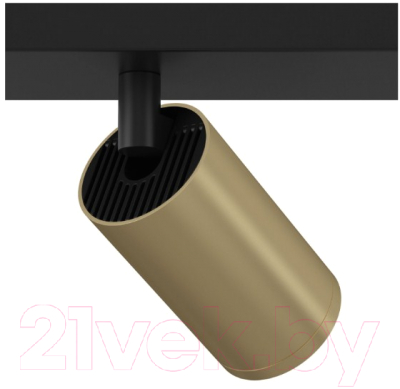 Спот Maytoni Focus S C051CL-02BMG