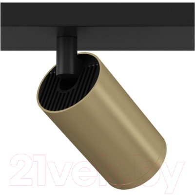 Спот Maytoni Focus S C051CL-02BMG