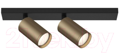 Спот Maytoni Focus S C051CL-02BBZ - фото