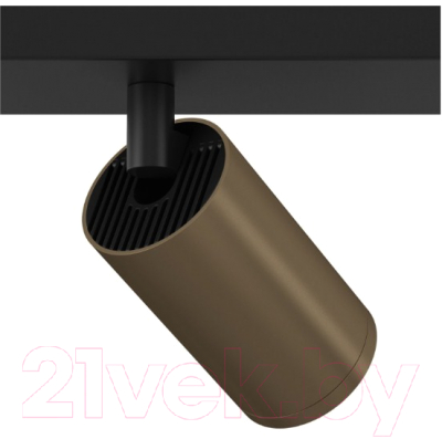 Спот Maytoni Focus S C051CL-02BBZ