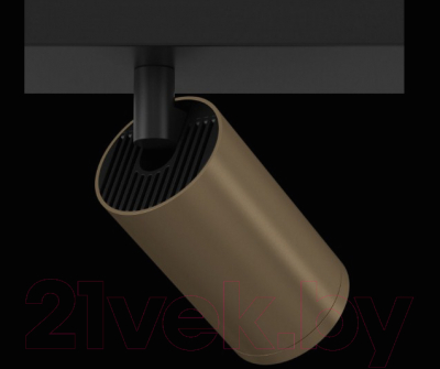 Спот Maytoni Focus S C051CL-02BBZ