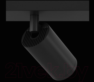 Спот Maytoni Focus S C051CL-2B