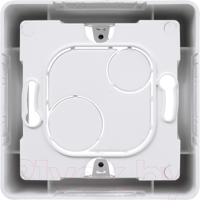 Коробка открытого монтажа Legrand Inspiria 673980