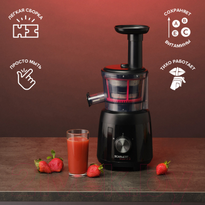 Соковыжималка электрическая Scarlett SC-JE50S54