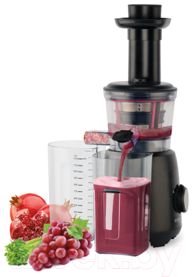 Соковыжималка электрическая Scarlett SC-JE50S54