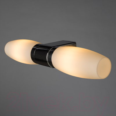 Светильник Arte Lamp Aqua A1209AP-2CC
