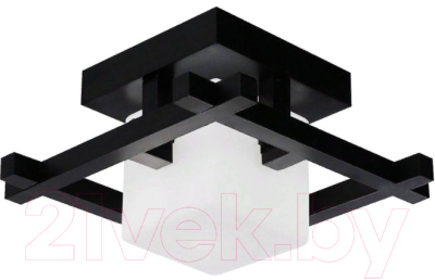 Потолочный светильник Arte Lamp Woods A8252PL-1CK - фото