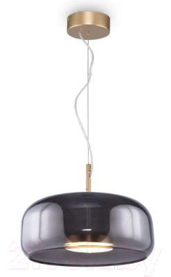 Потолочный светильник Maytoni Madmen MOD127PL-L6SG  - фото