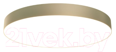 Потолочный светильник Maytoni Zon C032CL-L96MG4K - фото