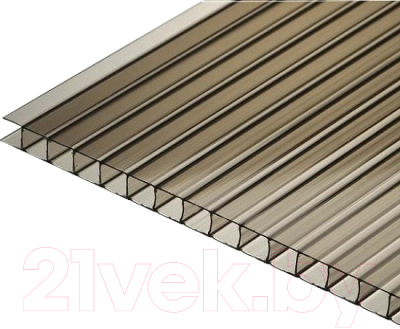 Сотовый поликарбонат TitanPlast 2100x3000x6 - фото