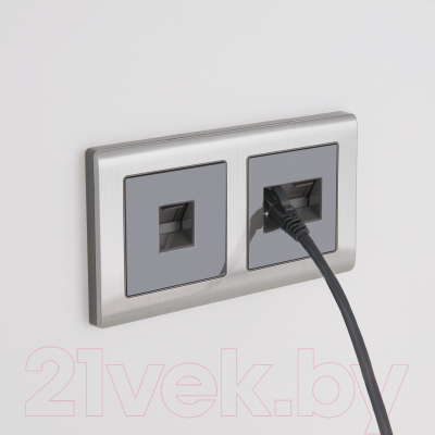 Рамка для выключателей и розеток Werkel W0021602 / a051002