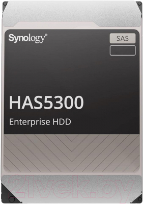 Жесткий диск Synology HAS5300-12T - фото