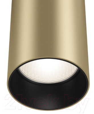 Потолочный светильник Maytoni Focus P075PL-01MG