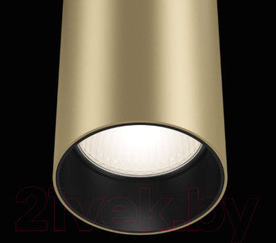 Потолочный светильник Maytoni Focus P075PL-01MG