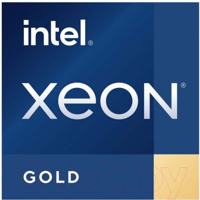 Процессор Intel Xeon Gold 6330 / CD8068904572101S RKHM - фото