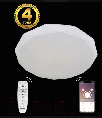 Потолочный светильник Natali Kovaltseva Led Lamps 81081