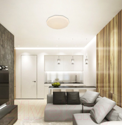 Потолочный светильник Natali Kovaltseva Led Lamps 81081