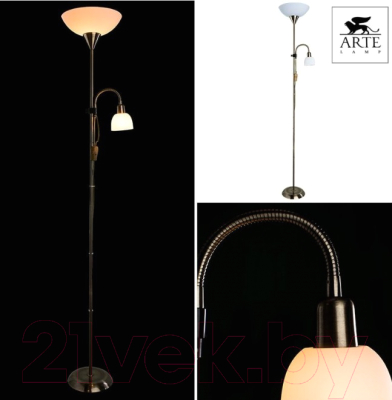 Торшер Arte Lamp Duetto A9569PN-2AB