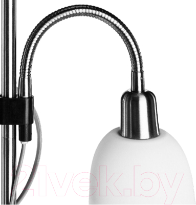 Торшер Arte Lamp Duetto A9569PN-2SS