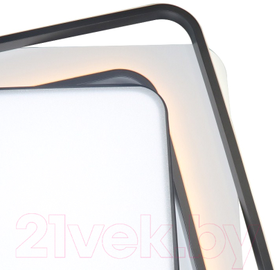 Потолочный светильник Natali Kovaltseva 81038/4C (белый/черный)