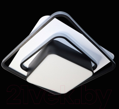 Потолочный светильник Natali Kovaltseva 81038/4C (белый/черный)