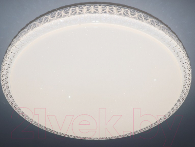 Потолочный светильник Natali Kovaltseva Led Lamps 81078