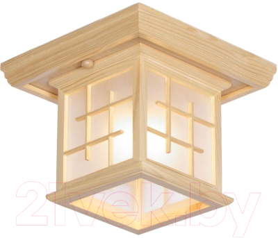 Потолочный светильник Velante 592-717-01 - фото