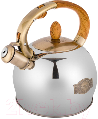 Чайник со свистком Agness 937-831