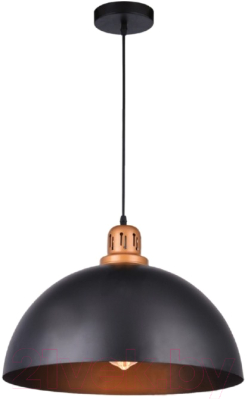 Потолочный светильник Arte Lamp Eurica A4249SP-1BK