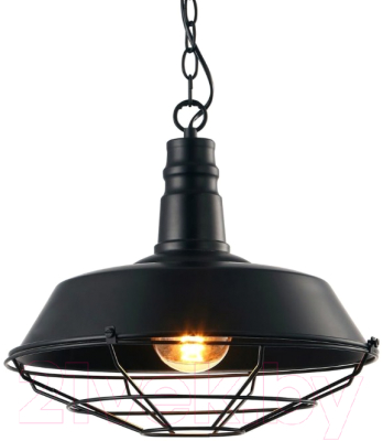 Потолочный светильник Arte Lamp Pandora Black A9183SP-1BK - фото