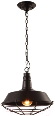 Потолочный светильник Arte Lamp Pandora Black A9183SP-1BK