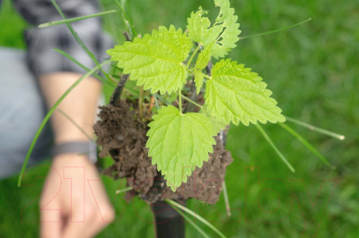 Культиватор ручной Tornadica TOR-32SOR