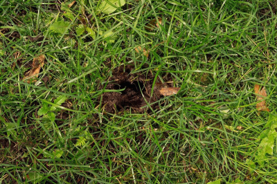 Культиватор ручной Tornadica TOR-32SOR