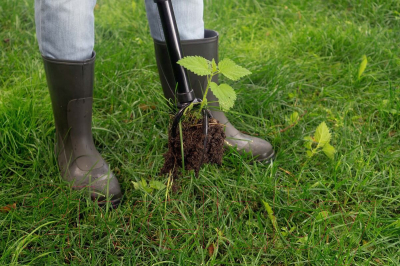 Культиватор ручной Tornadica TOR-32SOR