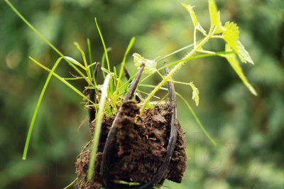 Культиватор ручной Tornadica TOR-32SOR