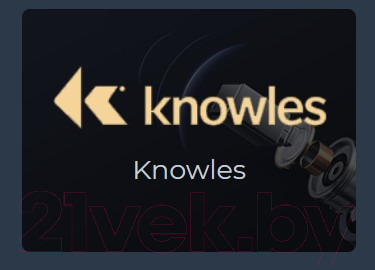 Беспроводные наушники Haylou W1